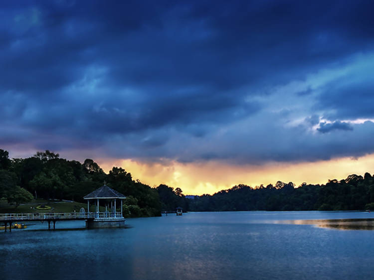 MacRitchie Reservoir