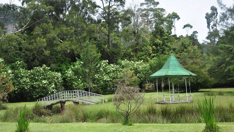 A public park in Nuwara Eliya