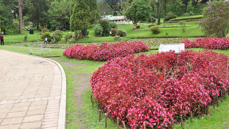 A public park in Nuwara Eliya