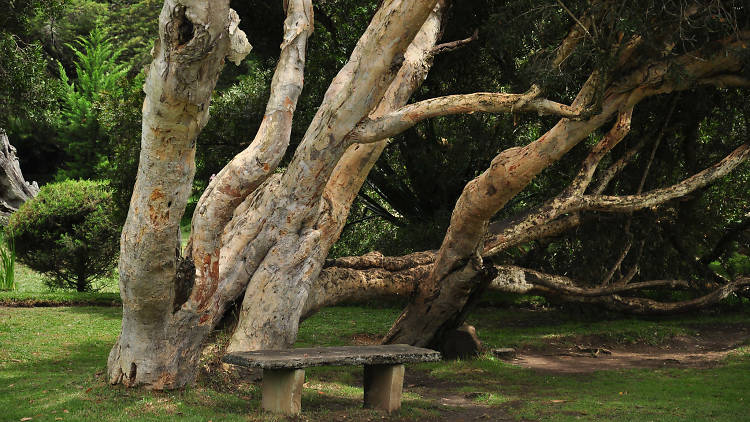 A public park in Nuwara Eliya