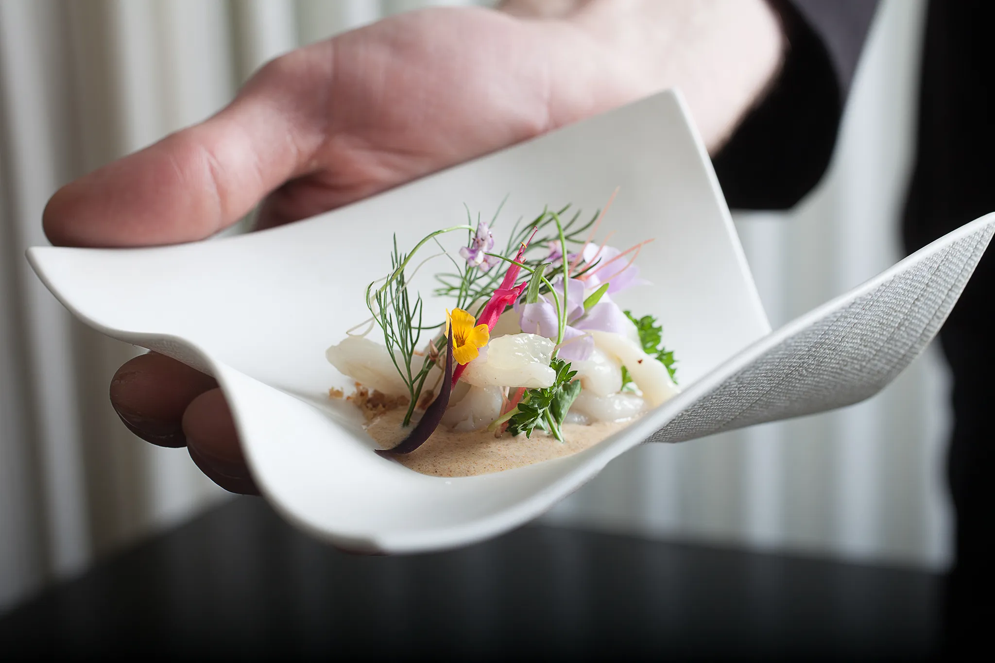 Food from the Alinea restaurant on a plate