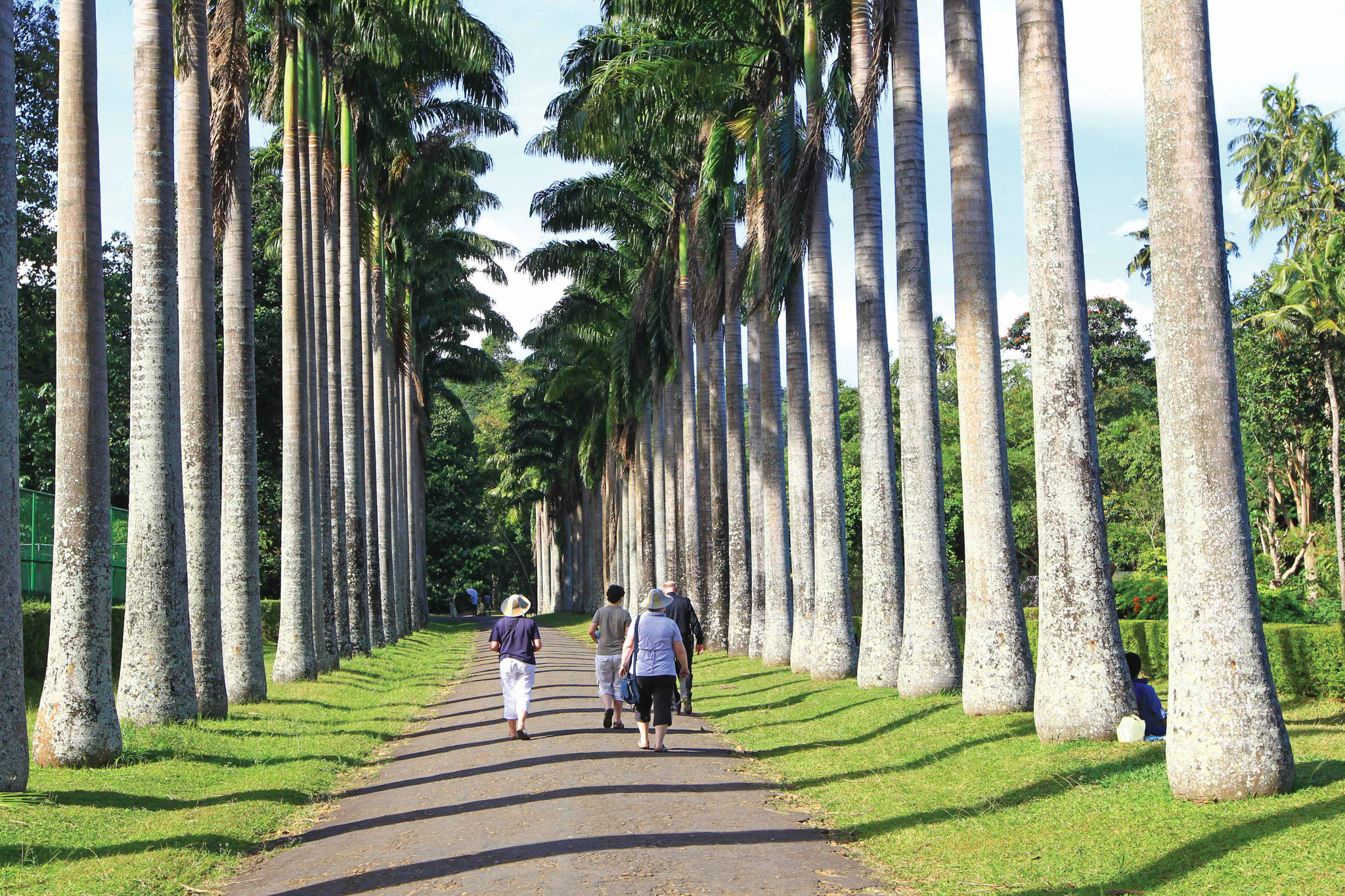 Royal Botanical Gardens Peradeniya