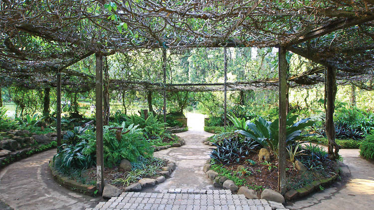 peradeniya botanical garden