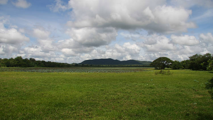 A scenic area popular among tourists