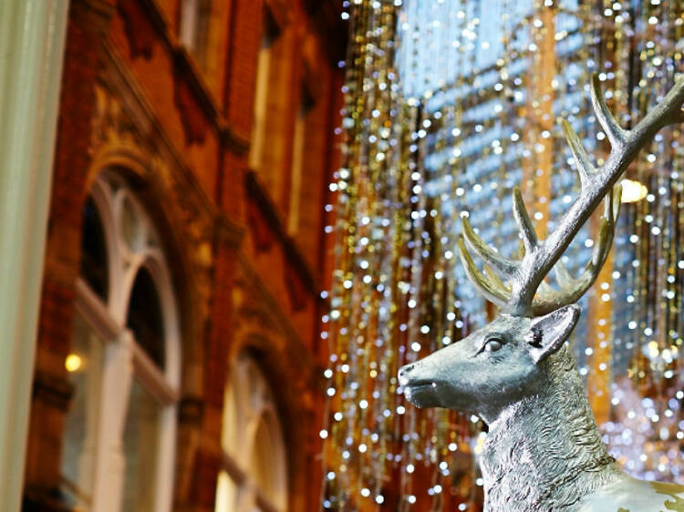 The Leeds reindeer trail