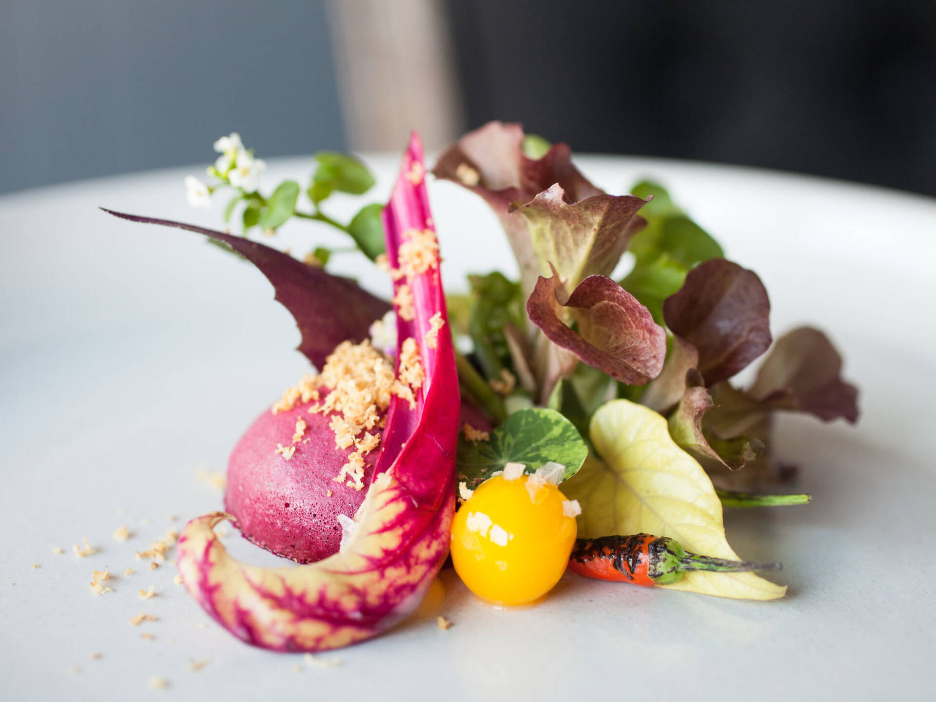 The 100 best dishes in Chicago 2014 small plates