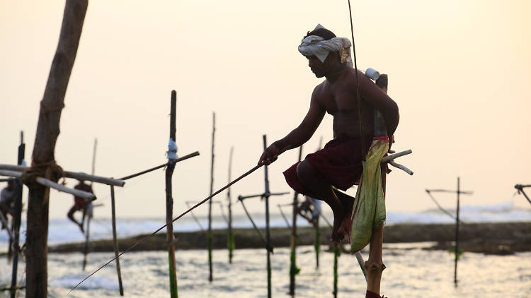 Stilt Fishermen of Koggala