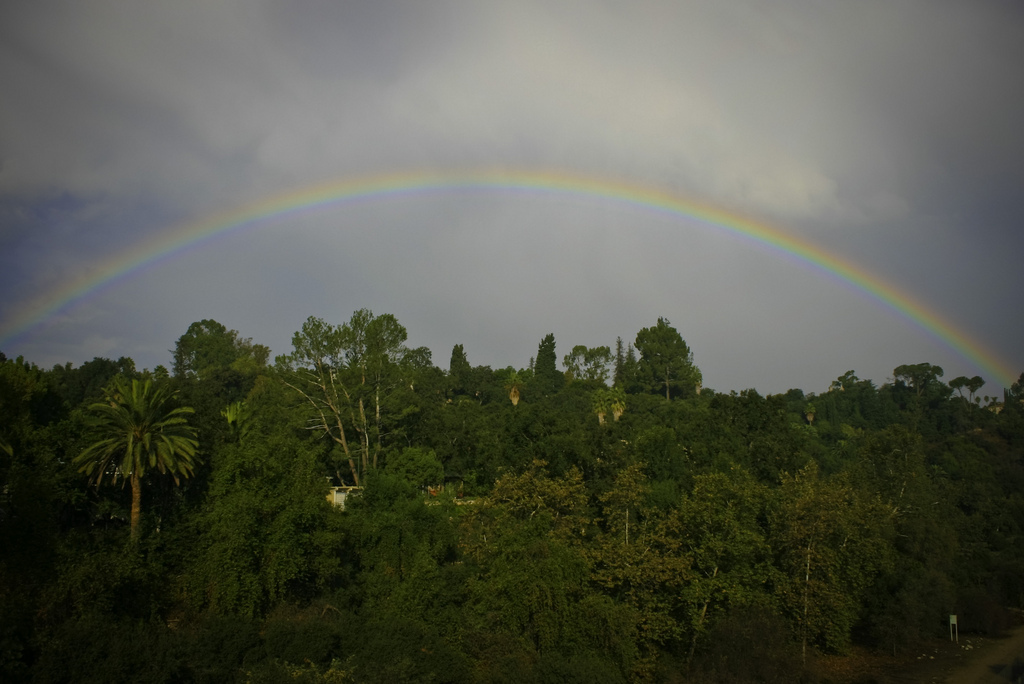 Best Things to Do on a Rainy Day in Los Angeles