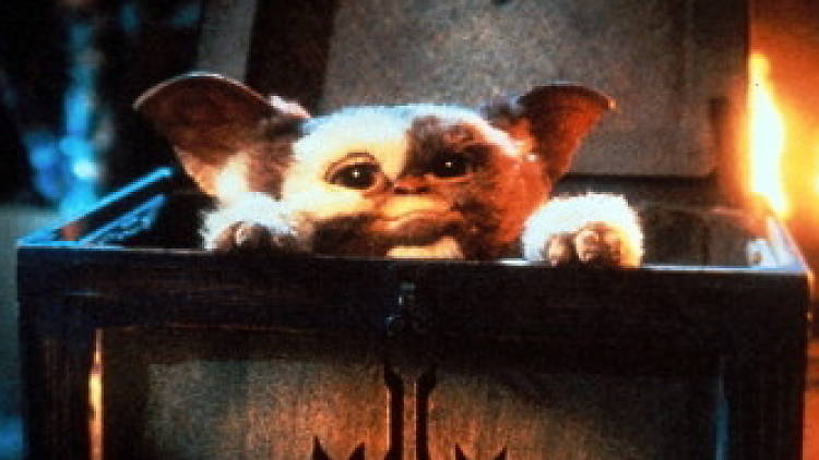 Gremlins screening