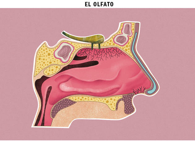 (Ilustración: Diego Martínez)