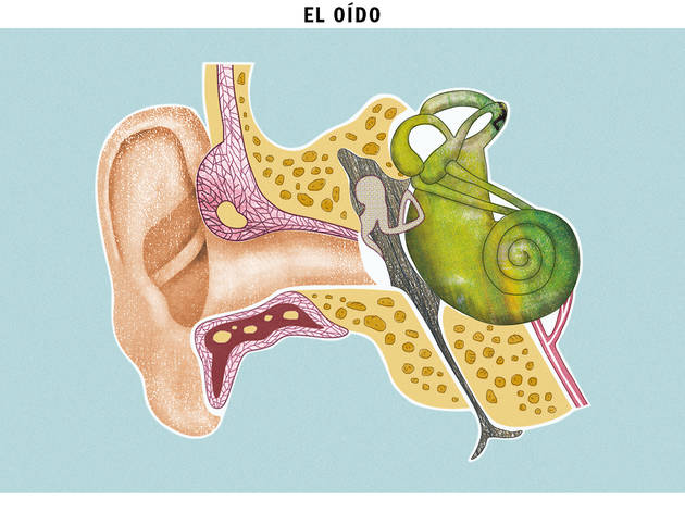 (Ilustración: Diego Martínez)