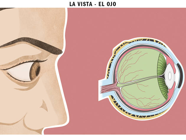 (Ilustración: Diego Martínez)