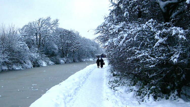 Ladies by the canal