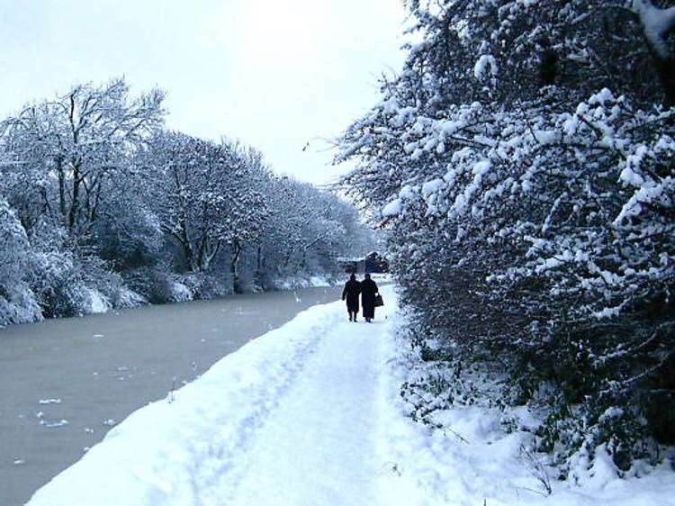 Ladies by the canal