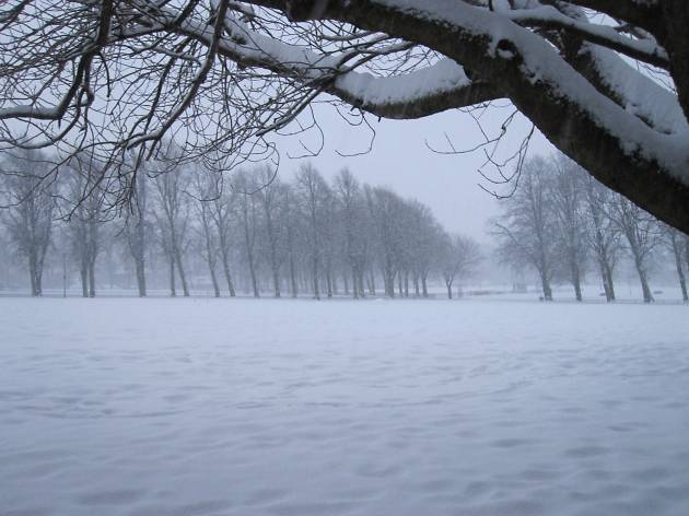 Snow on the meadow Snow on the meadow