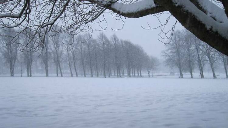 Snow on the meadow