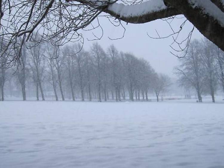 Snow on the meadow