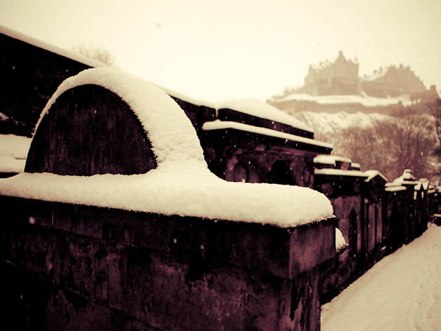 White graveyard White graveyard