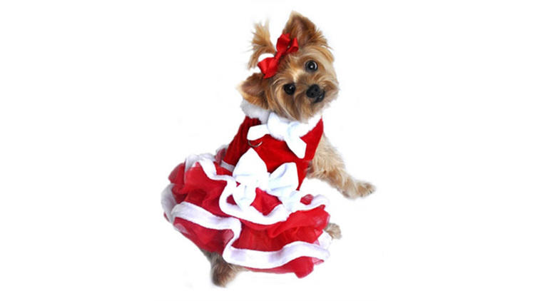 Hanukkah hotsell dog costume