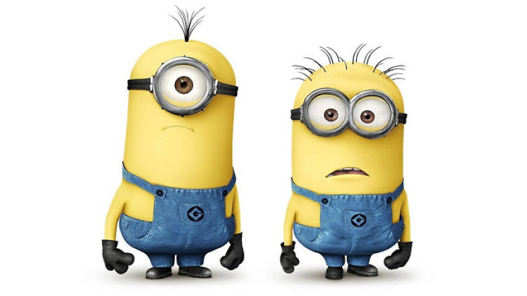 Minions Gender Too Dumb To Be Girls