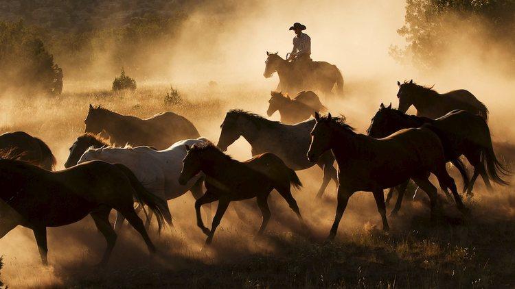 Life on an American ranch (© Liz Mardell)