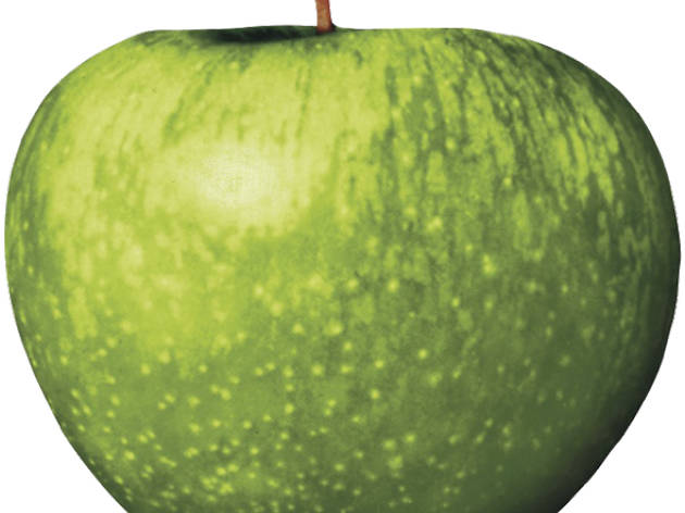 Apple Apple