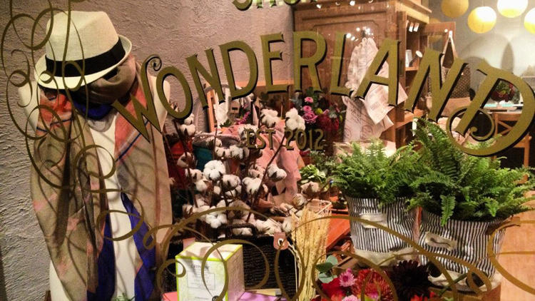 Shop Wonderland