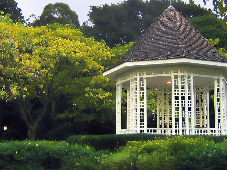 Singapore Botanic Gardens