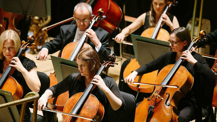 Orchestra of Opera North