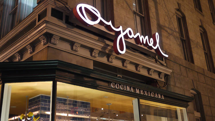 Oyamel Cocina Mexicana