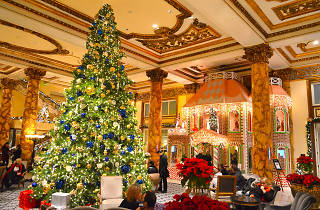 San Francisco Free Christmas 2022 19 Best Christmas Events And Holiday Things To Do In San Francisco