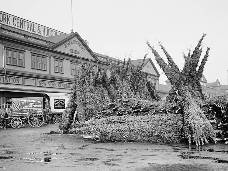 Photograph: Courtesy Library of Congress