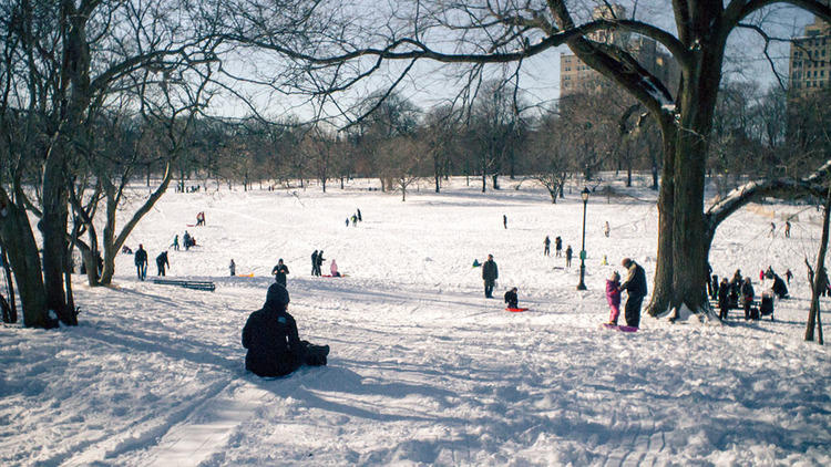 nyc-schools-cancel-snow-days-as-zoom-claims-another-victim