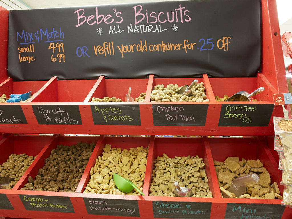 Pet stores in Chicago for dog leashes, cat collars and more