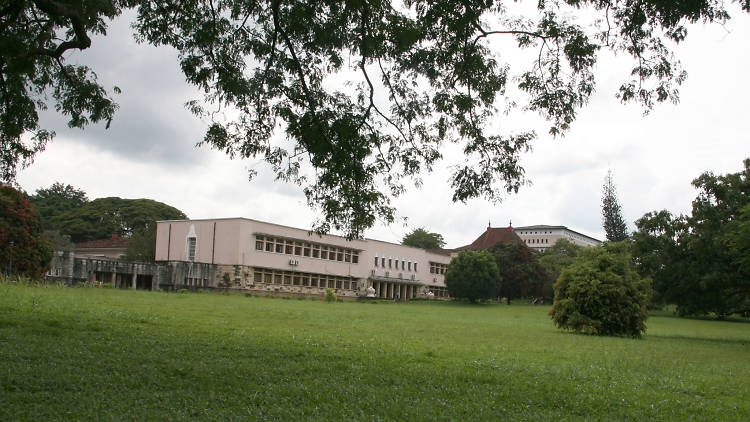 University of Peradeniya is a university in Kandy