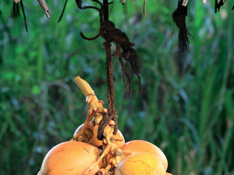 Thambili (King Coconut Water)