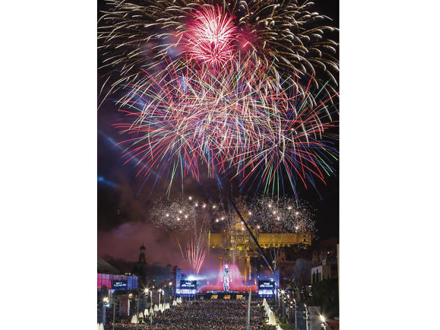 Cap d'Any 2015 Cap d'Any 2015
