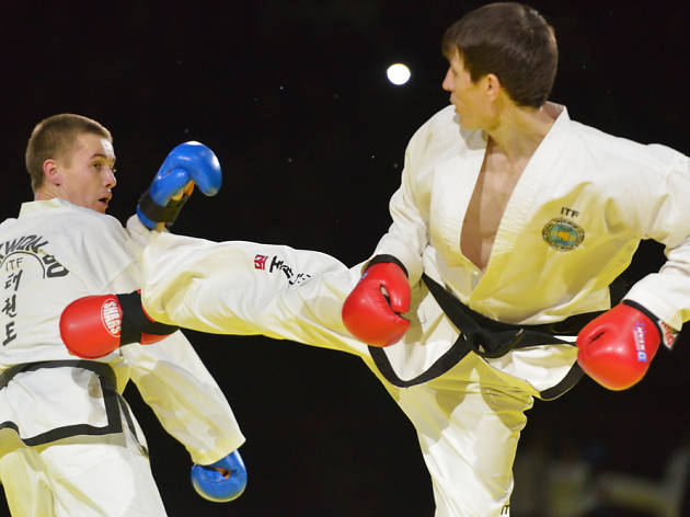 taekwondo taekwondo