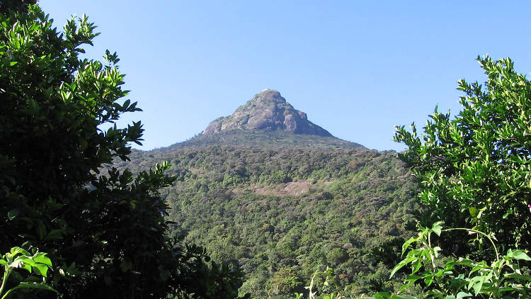 Adam's Peak is a popular religious site in Sri Lanka