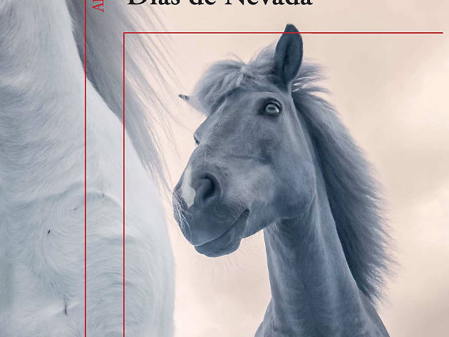 Días de nevada Días de nevada