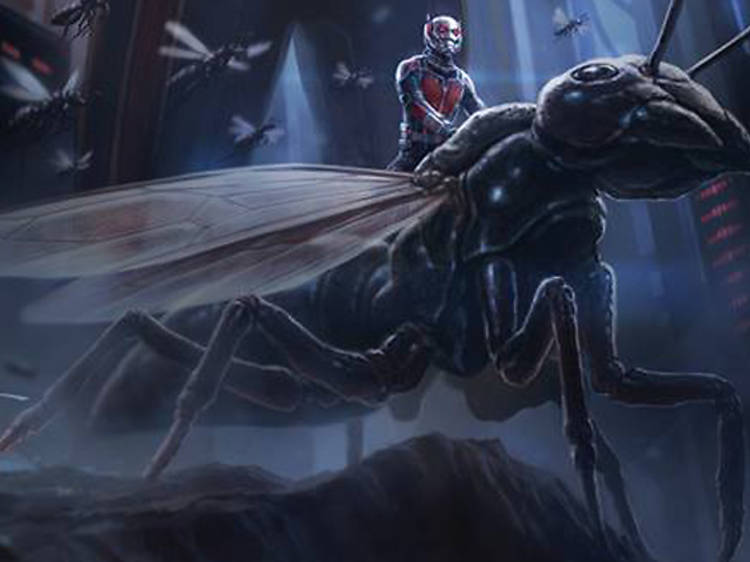 Ant-Man