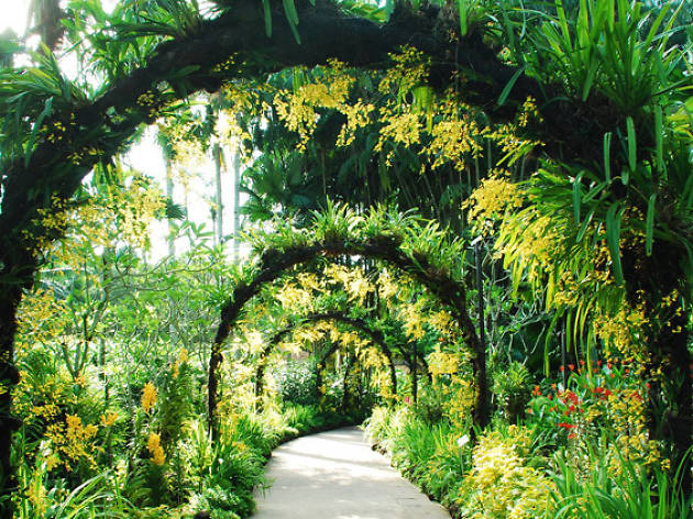 Botanic Garden Opening Hours