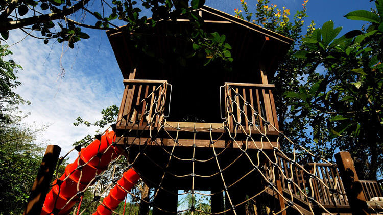 Singapore Botanic Gardens - Jacob Ballas Children's Garden