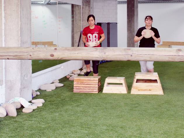 Paleotraining Paleotraining
