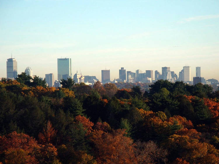 No. 21: Managed to get your fixed-gear to the top of Peters Hill at Arnold Arboretum, then nearly hit a training-wheeled Huffy on the way back down.