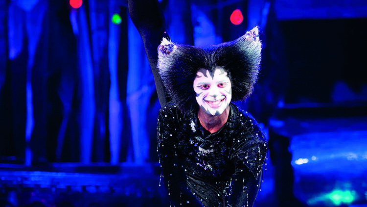 Christopher Favaloro as Mr Mistoffelees