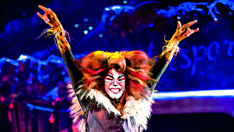 Earl Reeby as Rum Tum Tugger