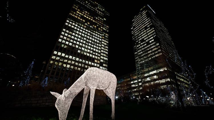 Winter Lights Exhibition Canary Wharf 2015