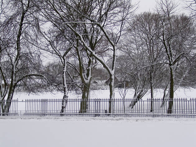 Queen's Park Railings Queen's Park Railings
