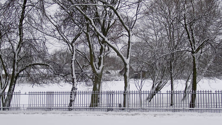 Queen's Park Railings